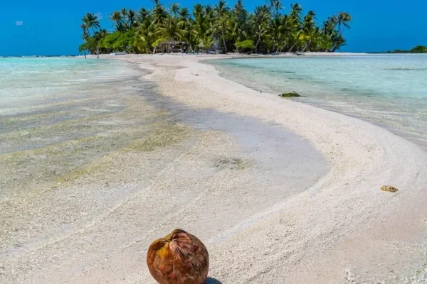 Was tun auf Rangiroa?