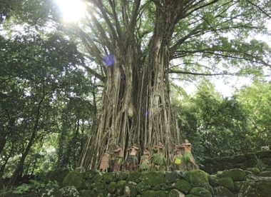 Die Marquesas-Inseln – einzigartige Kultur und Natur in Französisch-Polynesien