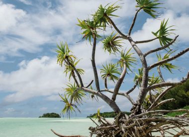 Austral-Inseln – Unbekannte Inseln in Französisch-Polynesien